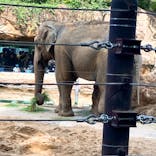 恩賜上野動物園に投稿された画像（2024/10/14）