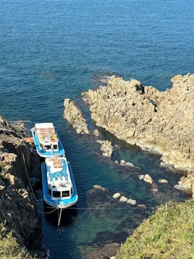 東尋坊観光遊覧船株式会社に投稿された画像（2024/10/14）