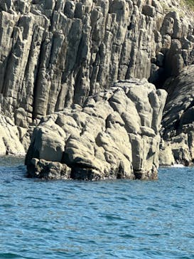 東尋坊観光遊覧船株式会社に投稿された画像（2024/10/14）