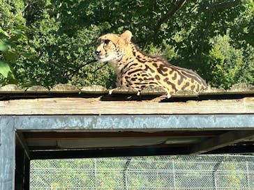 姫路セントラルパークに投稿された画像（2024/10/14）