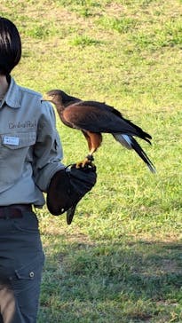 姫路セントラルパークに投稿された画像（2024/10/14）