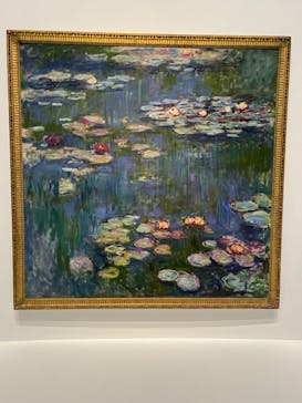 モネ 睡蓮のとき（国立西洋美術館）に投稿された画像（2024/10/14）