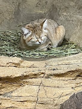 那須どうぶつ王国に投稿された画像（2024/10/14）