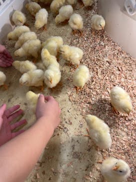 アニタッチ MARK IS 静岡に投稿された画像（2024/10/14）