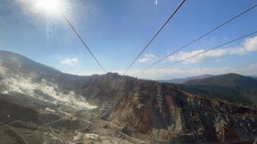 彫刻の森美術館に投稿された画像（2024/10/14）