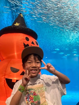 名古屋港水族館に投稿された画像（2024/10/14）