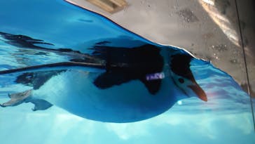 名古屋港水族館に投稿された画像（2024/10/14）