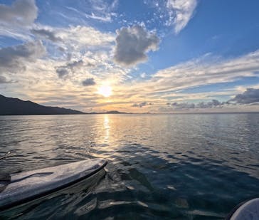 マリンBoo!!に投稿された画像（2024/10/14）