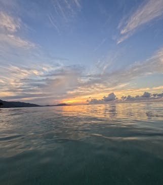 マリンBoo!!に投稿された画像（2024/10/14）