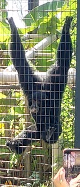 名古屋市東山動植物園に投稿された画像（2024/10/11）