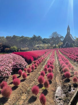 牧歌の里に投稿された画像（2024/10/14）
