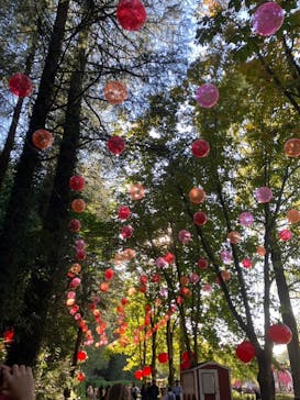 ムーミンバレーパークに投稿された画像（2024/10/14）