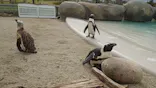仙台うみの杜水族館に投稿された画像（2024/10/14）
