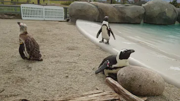 仙台うみの杜水族館に投稿された画像（2024/10/14）