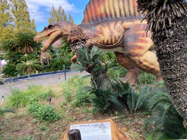 伊豆ぐらんぱる公園に投稿された画像（2024/10/14）