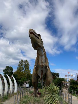 伊豆ぐらんぱる公園に投稿された画像（2024/10/14）