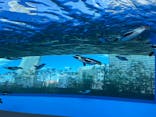 サンシャイン水族館に投稿された画像（2024/10/14）
