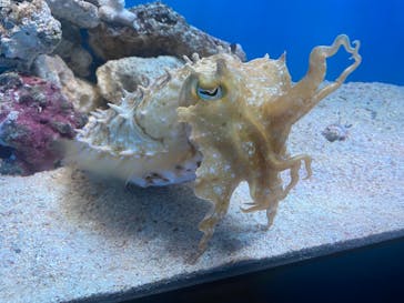 サンシャイン水族館に投稿された画像（2024/10/14）