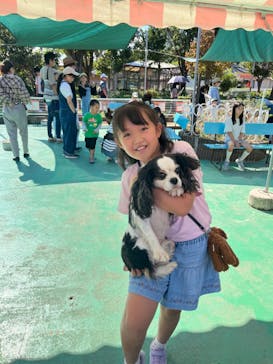 IPCわんわん動物園に投稿された画像（2024/10/14）