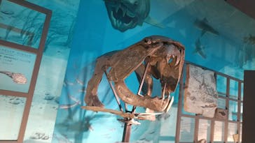 福井県立恐竜博物館に投稿された画像（2024/10/14）