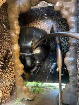 モビリティリゾートもてぎに投稿された画像（2024/10/14）