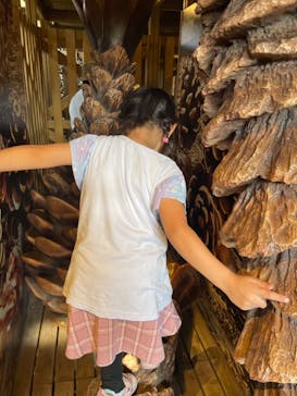 モビリティリゾートもてぎに投稿された画像（2024/10/14）