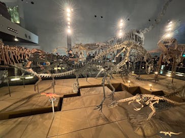 福井県立恐竜博物館に投稿された画像（2024/10/14）