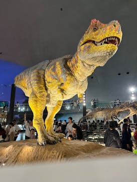 福井県立恐竜博物館に投稿された画像（2024/10/14）
