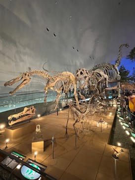 福井県立恐竜博物館に投稿された画像（2024/10/14）