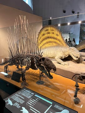 福井県立恐竜博物館に投稿された画像（2024/10/14）