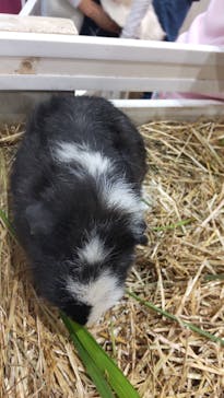 アニタッチみなとみらいに投稿された画像（2024/10/14）