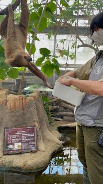 神戸どうぶつ王国に投稿された画像（2024/10/14）