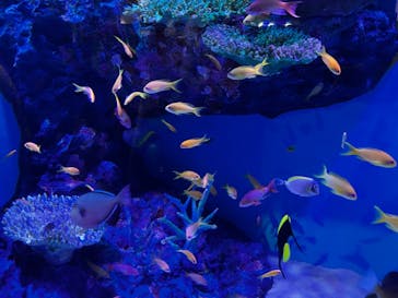 竹島水族館に投稿された画像（2024/10/14）