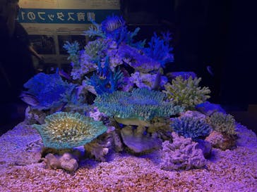 竹島水族館に投稿された画像（2024/10/14）