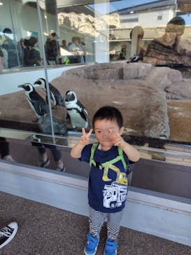 京都水族館に投稿された画像（2024/10/14）