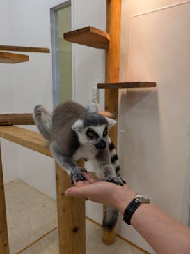 アニタッチ MARK IS 静岡に投稿された画像（2024/10/14）