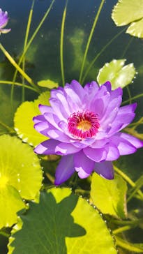 神戸どうぶつ王国に投稿された画像（2024/10/14）