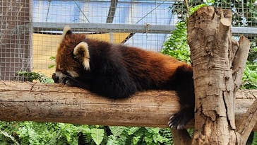 神戸どうぶつ王国に投稿された画像（2024/10/14）