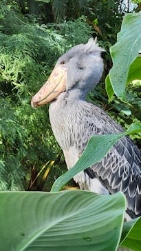 神戸どうぶつ王国に投稿された画像（2024/10/14）