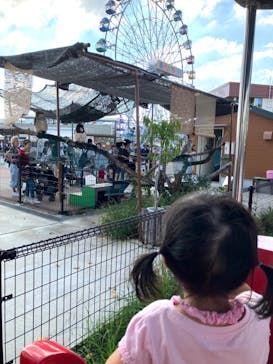 あらかわ遊園に投稿された画像（2024/10/14）