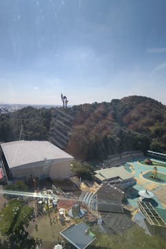 日本モンキーパークに投稿された画像（2024/10/14）