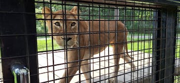 那須サファリパークに投稿された画像（2024/10/14）