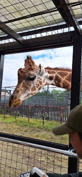 那須サファリパークに投稿された画像（2024/10/14）