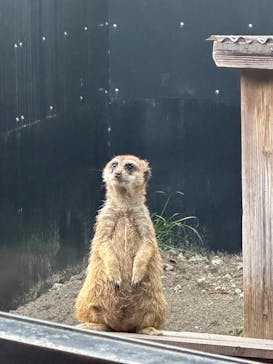 恩賜上野動物園に投稿された画像（2024/10/14）