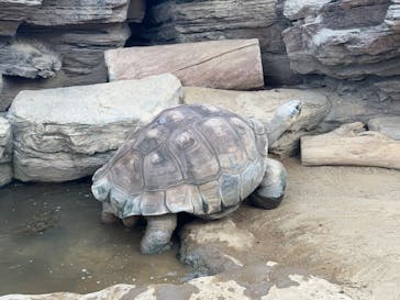恩賜上野動物園に投稿された画像（2024/10/14）