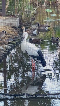恩賜上野動物園に投稿された画像（2024/10/14）