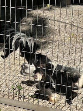 恩賜上野動物園に投稿された画像（2024/10/14）