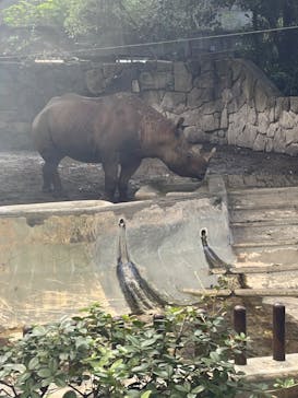 恩賜上野動物園に投稿された画像（2024/10/14）