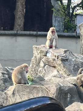 恩賜上野動物園に投稿された画像（2024/10/14）