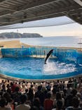 新江ノ島水族館に投稿された画像（2024/10/14）